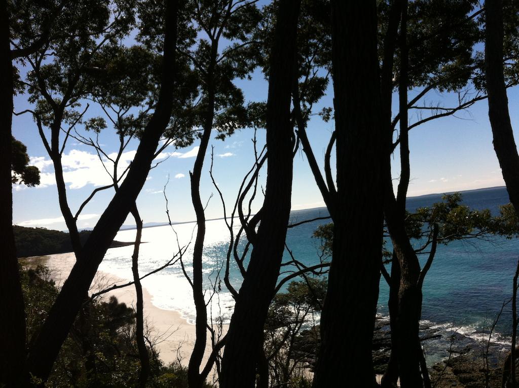 Hyams Beach - A Secret Treasure Bilik gambar